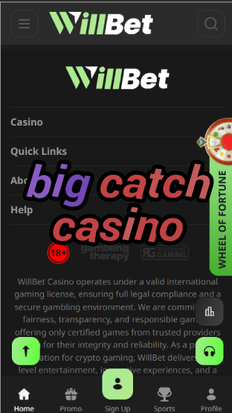 Big Catch Casino - Fishing-Themed Slot Games-casinoorder.vip